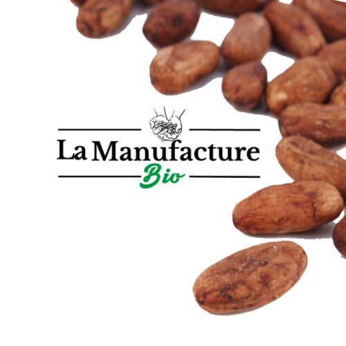 Fèves de cacao torréfiées